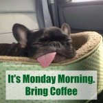 Monday-Morning-Bring-Coffee.jpg Monday-Morning-Bring-Coffee.jpg