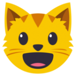 smiling-cat-face-with-open-mouth_1f63a (1).png