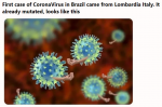 coronavirus mutated.png