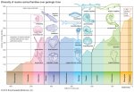 families-diversity-animal-data-Precambrian-curve-value.jpg