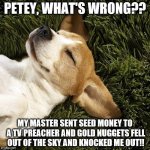 Petey.jpg Petey.jpg