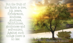 40354-fruit of the spirit.800w.tn.png