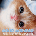 good-morning-hope-your-day-is-wonderful-glitter-graphic.gif