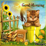 328452-Kitty-Sunflower-Good-Morning-Gif.gif