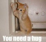 You Need A Hug.jpg
