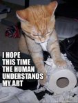 cat-destroys-toilet-paper.jpg