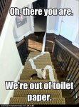funny-cat-we-are-out-of-toilet-paper.jpg