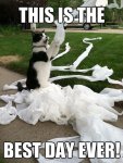 Funny-Memes-about-Toilet-Paper-7.jpg