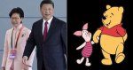 carrie-lam-piglet.jpg carrie-lam-piglet.jpg