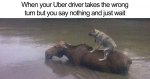 animals-using-uber-memes-fb8__700-png.jpg