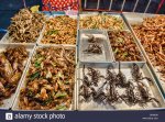 fried-insects-for-sale-at-the-night-market-in-chiang-mai-thailand-DK9AD6.jpg