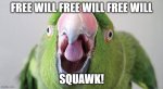 free will parrot.jpg