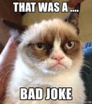 bad cat joke.jpg