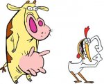 the cow and the chicken pic.JPG