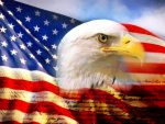 rsz_bald_eagle_head_and_american_flag1.jpg