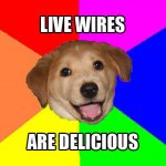 5f1ad968e60a5d9916c2d00e5e3889fc-advice-dog.jpg