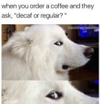 when-you-order-funny-coffee-memes.jpg