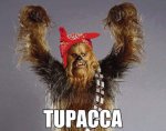 Funny-Wookiee-Star-Wars-Image.jpg