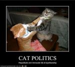 cat-politics.jpg