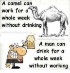 a-camel-can-work-for-a-whole-week-without-drinking-4999032.png