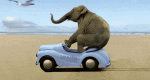 elephant speedracer.gif
