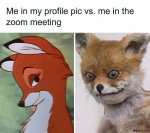 Me-in-my-profile-pic-vs-Me-in-the-zoom-meeting-meme-2702.jpg Me-in-my-profile-pic-vs-Me-in-the-zoom-meeting-meme-2702.jpg
