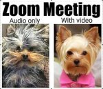 zoom-meeting-audio-vs-video-meme.jpg