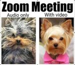 zoom-meeting-audio-vs-video-meme.jpg zoom-meeting-audio-vs-video-meme.jpg