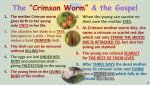 The+Crimson+Worm+&+the+Gospel.jpg The+Crimson+Worm+&+the+Gospel.jpg