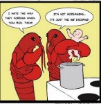 Funny lobster cartoon 3.jpg