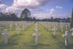 graveyard-534616__480.jpg graveyard-534616__480.jpg