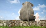 funny-wallpaper-with-a-girl-and-a-elephant-sitting-on-a-stone-wall.jpg