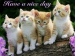 118720-Have-A-Nice-Day.jpg
