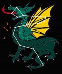draco_dragon_big.jpg