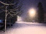 1-first-snowfall-barbara-white.jpg