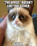 Grumpy Cat the office.jpg