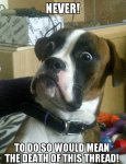 Baffled boxer thread death.jpg