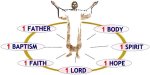16_one-body-seven-bonds.jpg
