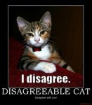 disagreeable-cat-disagree-cat-demotivational-poster-1244696766.jpg
