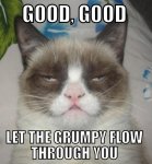 57141-Grumpy-Cat-Darth-Vader-meme--g-P5c0.jpg