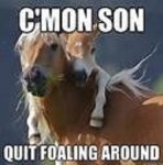 horsemeem02.jpg