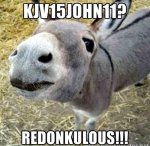 donkey_kjv.jpg