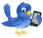 cellphone bird.jpg