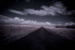 road_less_travelled_by_underaglassbell_o.jpg