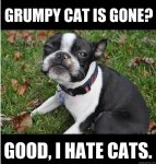 doggie 006.jpg