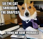 doggie005.jpg