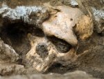 Skull-300x225.jpg Skull-300x225.jpg