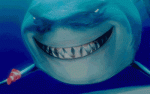nemo-shark-smiling-shark-gifs.gif