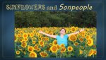 Sunflowers and Sonpeople becoming like Jesus.jpg