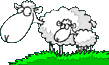 7209373A-1B59-41DC-A647-DB1C2AE20BCC.gif 7209373A-1B59-41DC-A647-DB1C2AE20BCC.gif